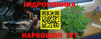 PSILOCYBIN Ирбит