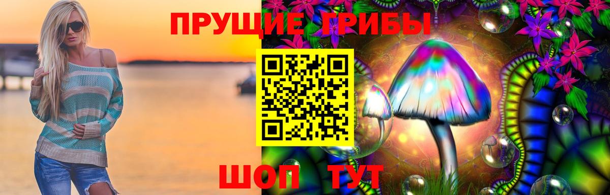 Ликино-Дулёво  Псилоцибиновые грибы MAGIC MUSHROOMS  Вход с VPN 