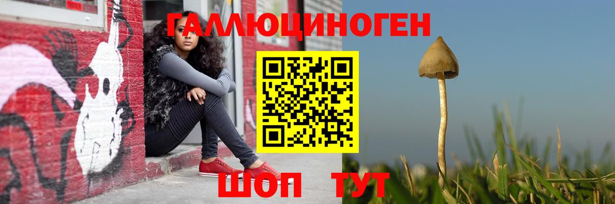 Галлюциногенные грибы Psilocybine cubensis Ликино-Дулёво